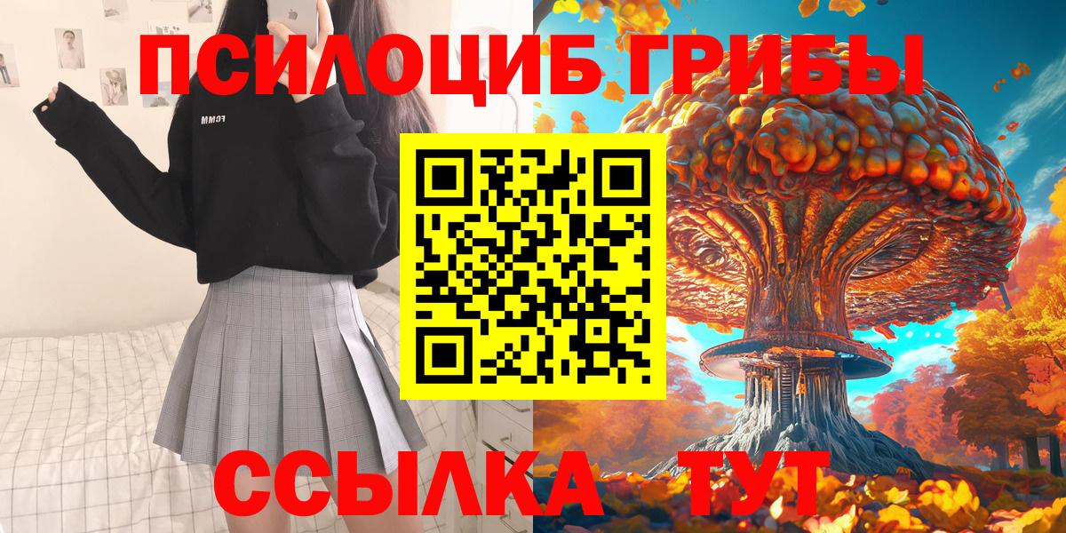 Дивногорск  Галлюциногенные грибы мицелий  Галлюциногенные грибы ЛСД  Вход с VPN 